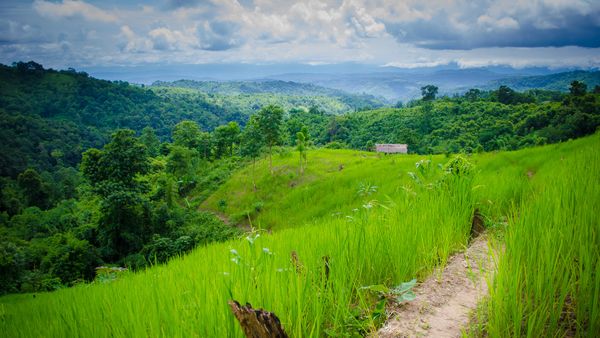 Spring In Assam Most Beautiful Places In Assam, From Guwahati To Majuli