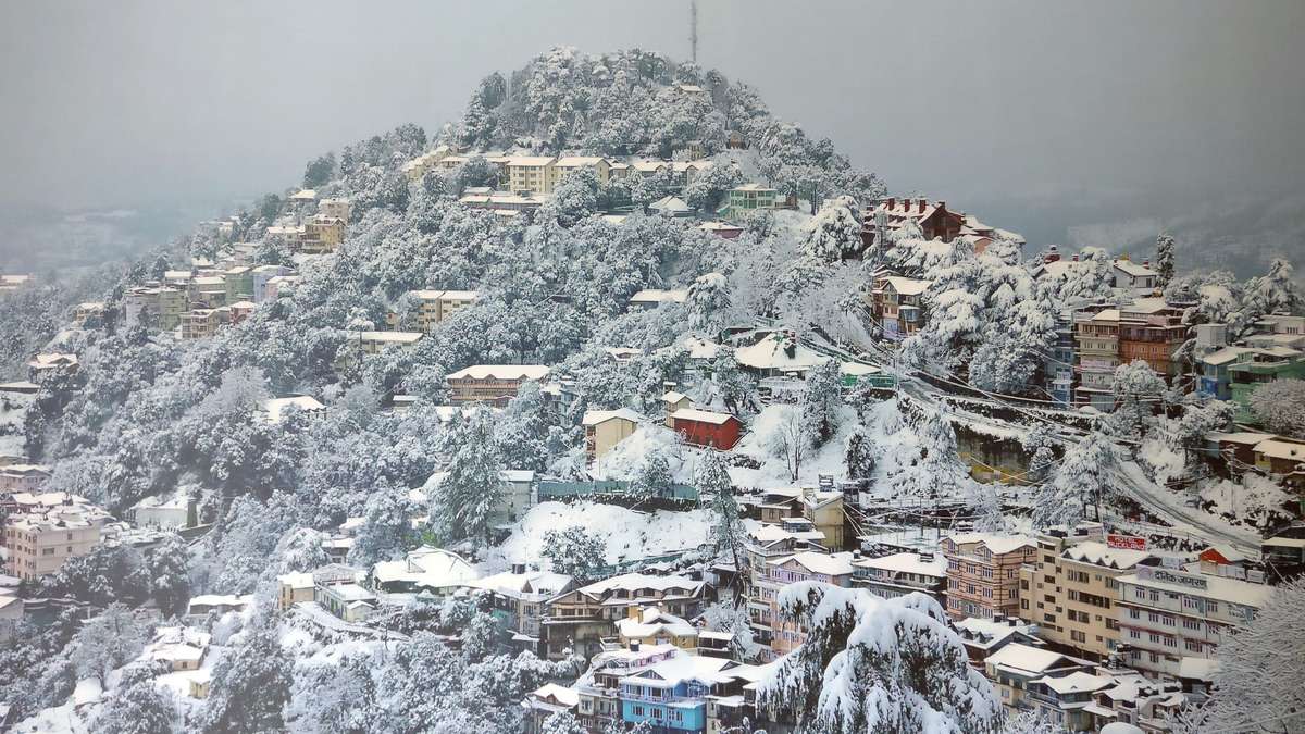 Snowfall In Shimla And Manali: Himachal Turns Into A Winter Spectacle