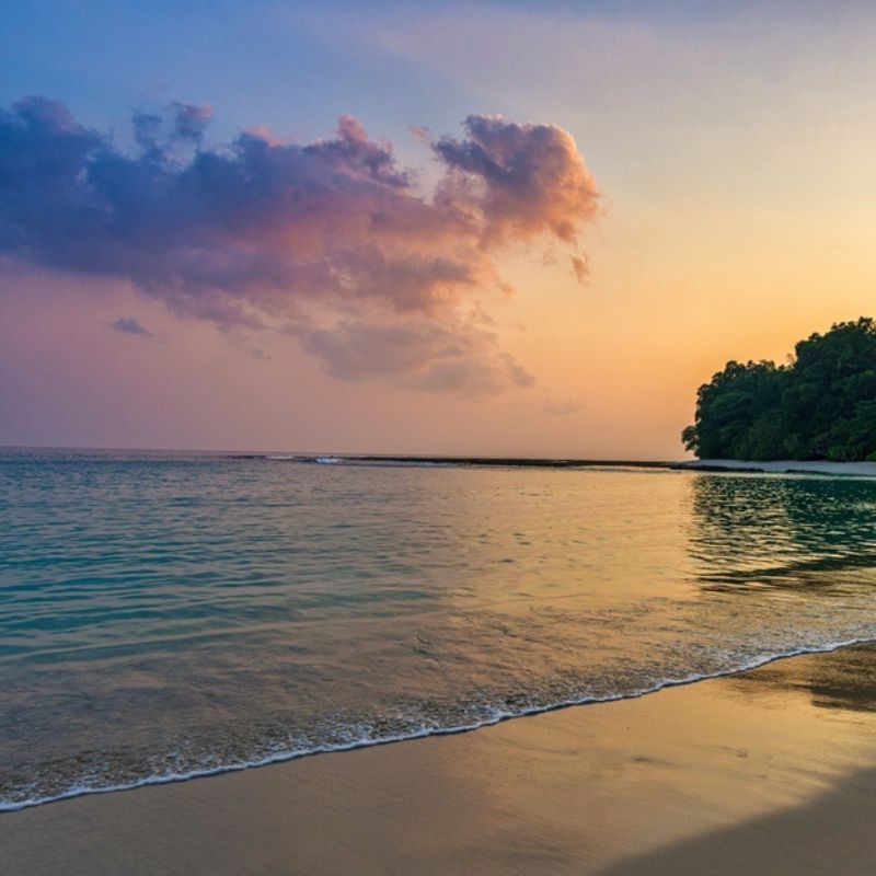 Lakshadweep Vs The Andamans: Comparing India's Tropical Island Paradises