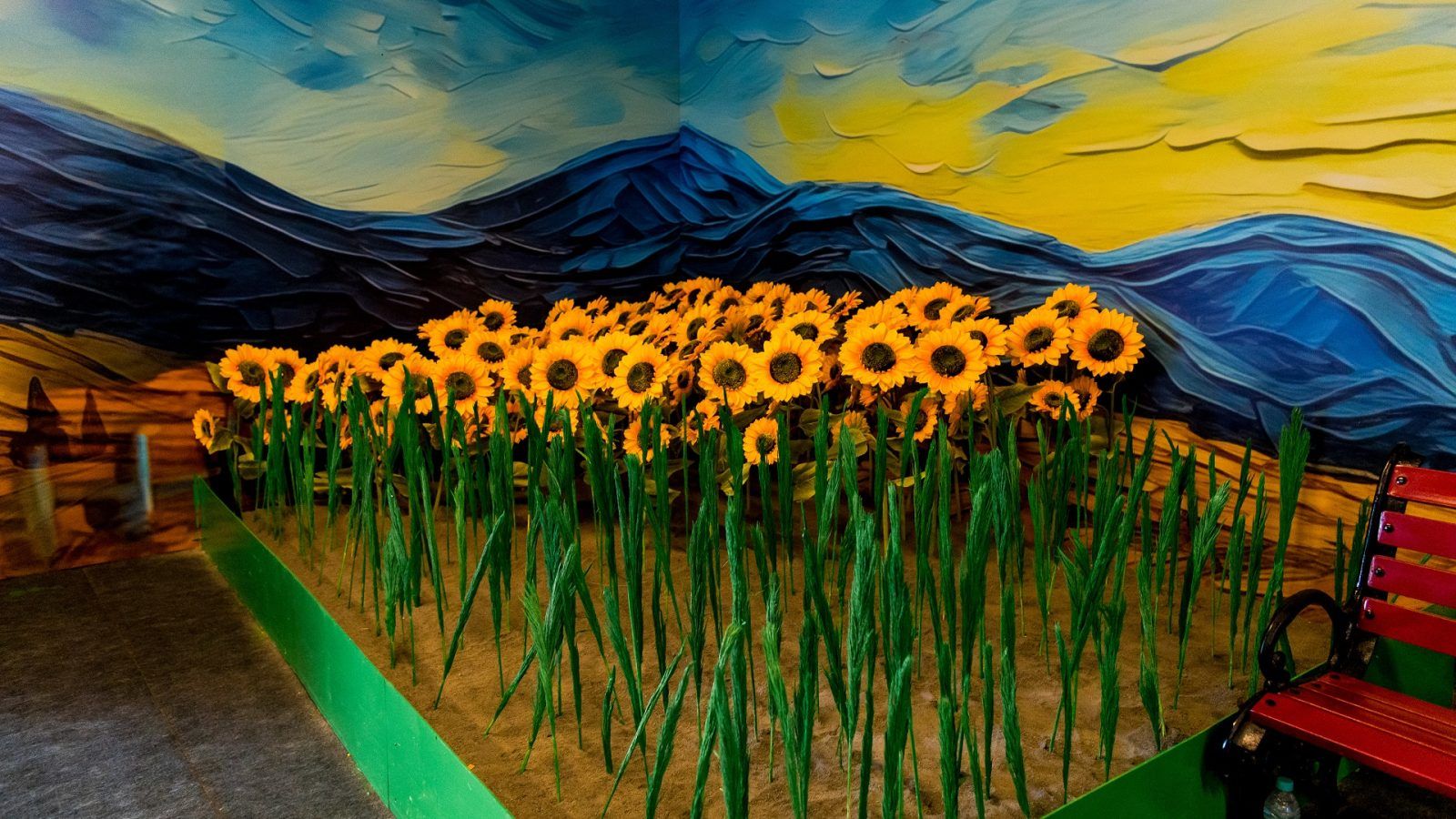 Chennai Hosts Real Van Gogh Immersive Art Experience, Hyderabad Next