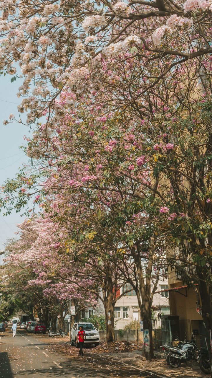 Best Places For A Romantic Date In Bengaluru best-places-for-a-romantic-date-in-bengaluru