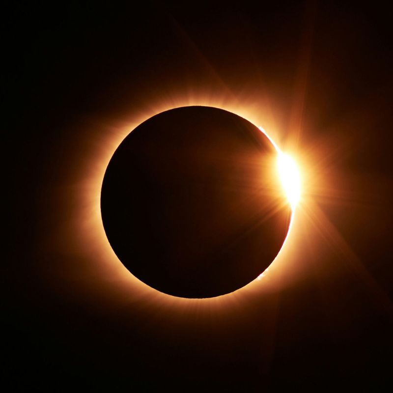 See April's Solar Eclipse From The Sky On This Special Delta Flight