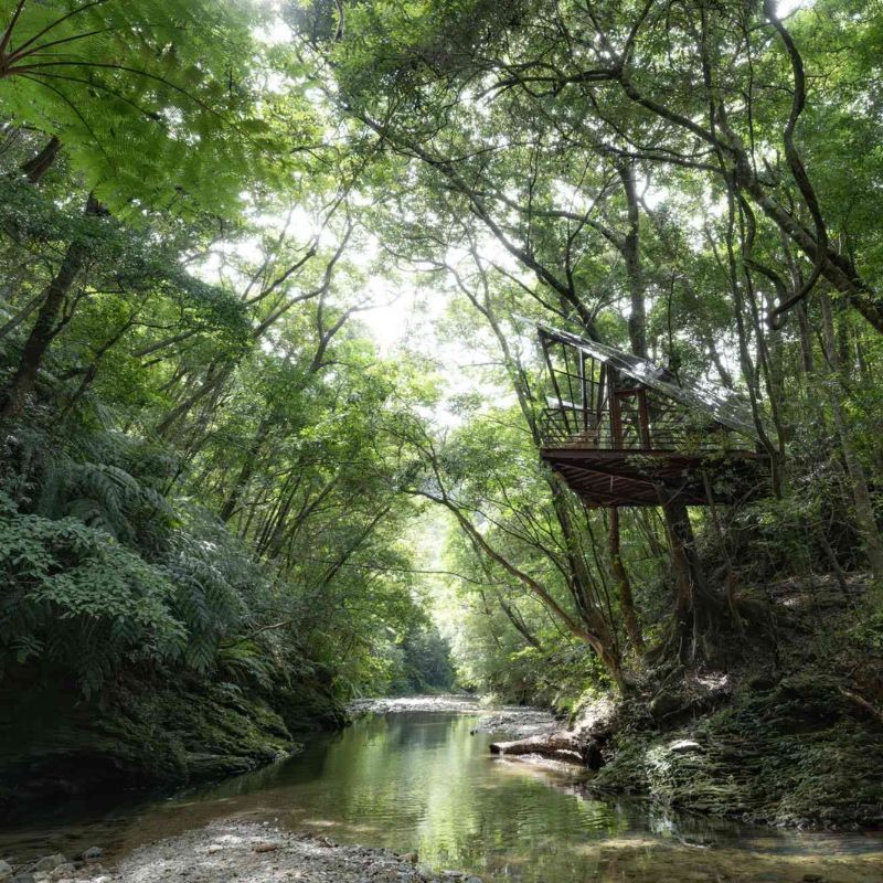 This Tree House Resort In Japan Has A Slide From A Sauna Into The Genka River