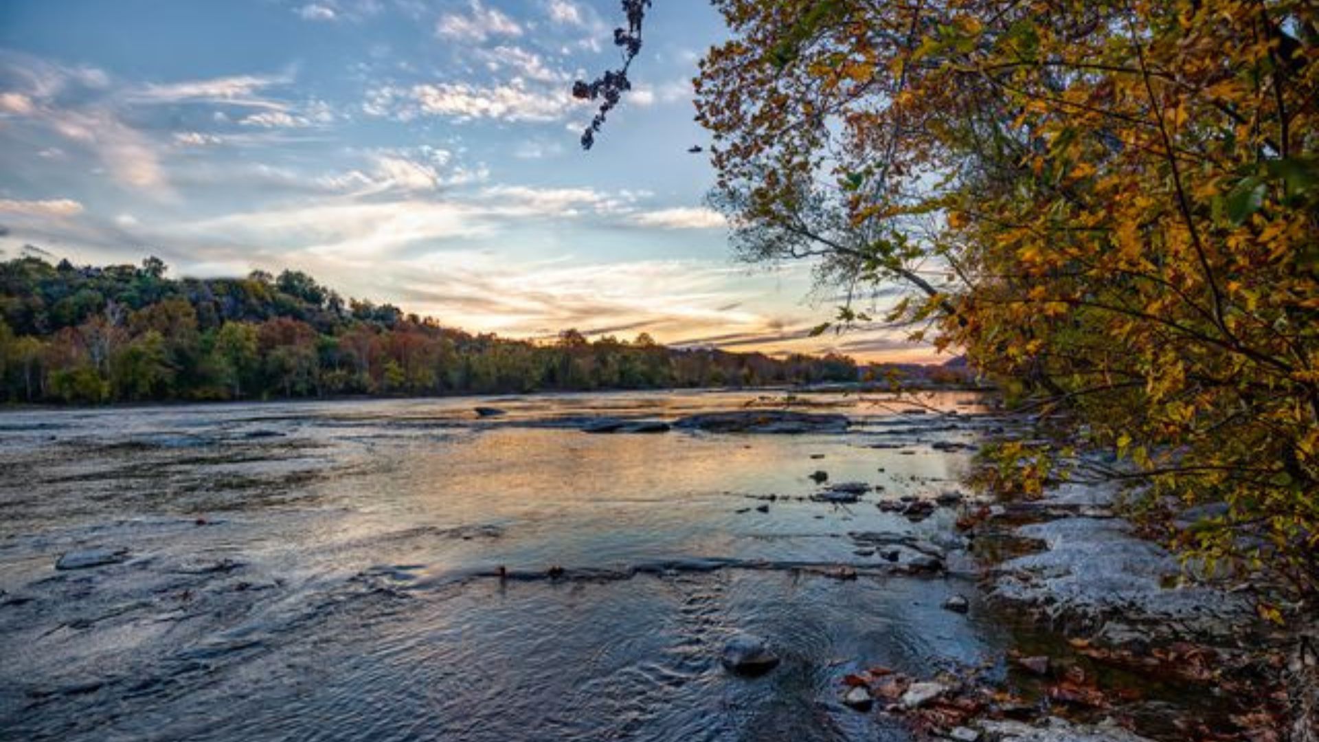 Shenandoah River 