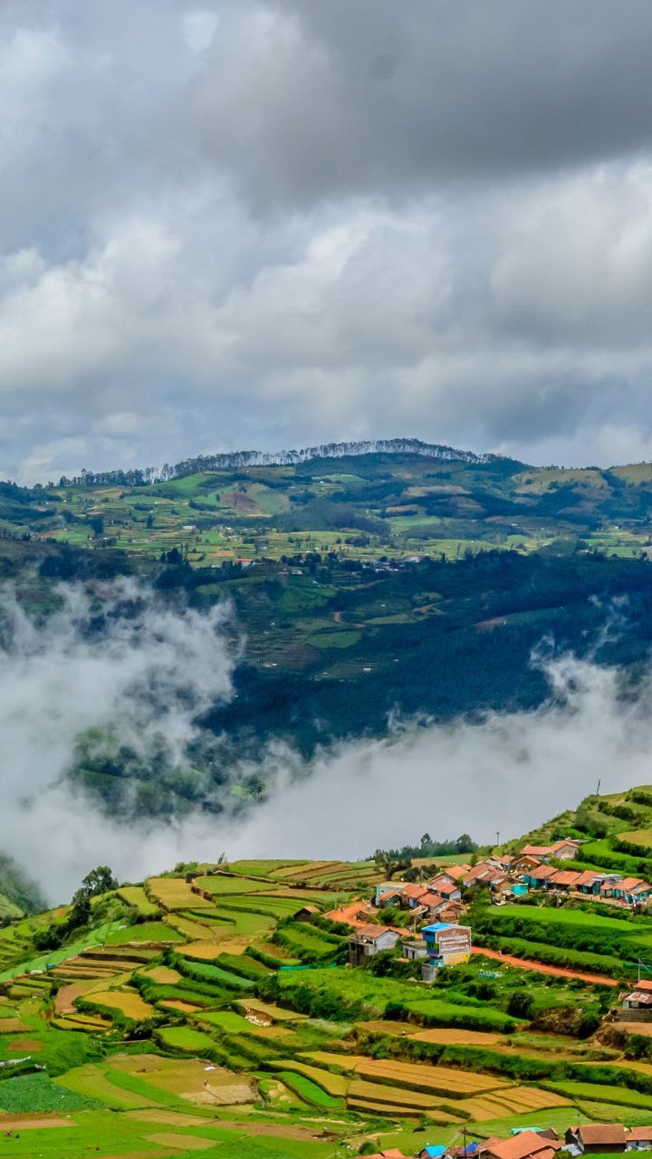 Dolphin nose view, coonoor, , hillstation, incredible india, mountain,  nature lover, HD wallpaper | Peakpx