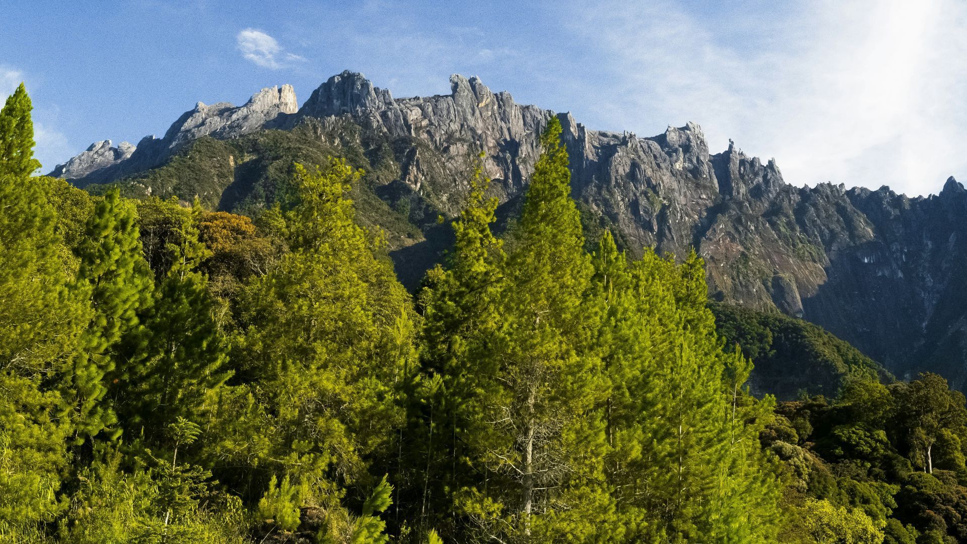 马来西亚 vs 新加坡