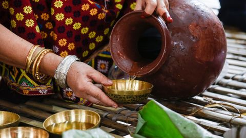 Toddy, Chaang, Zutho, Feni ... Explore India's Diverse Landscapes Through Regional Alcohol