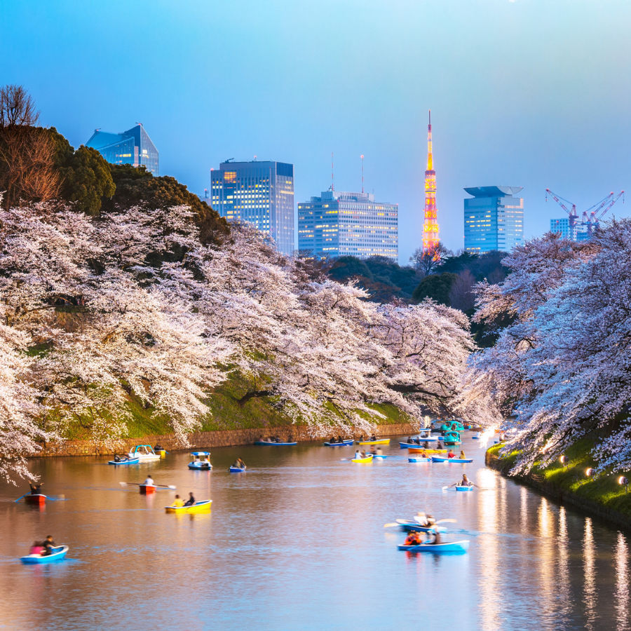 It’s Sakura Season! Here Are 5 Tips To Avoiding The Tourist Gridlock In Japan