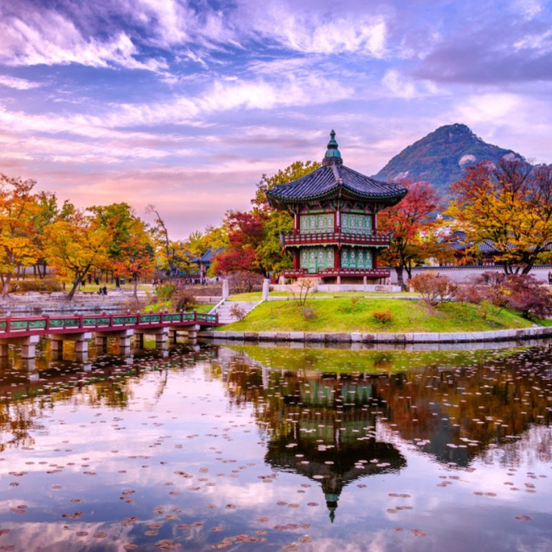 Explore South Korea For Free: Share Your Story And Win A Dream Trip