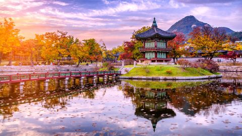 Explore South Korea For Free: Share Your Story And Win A Dream Trip