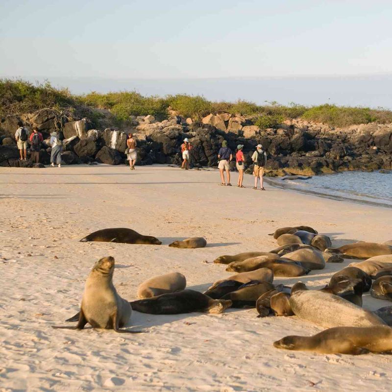 It’s About To Get More Expensive To Visit The Galapagos — What To Know
