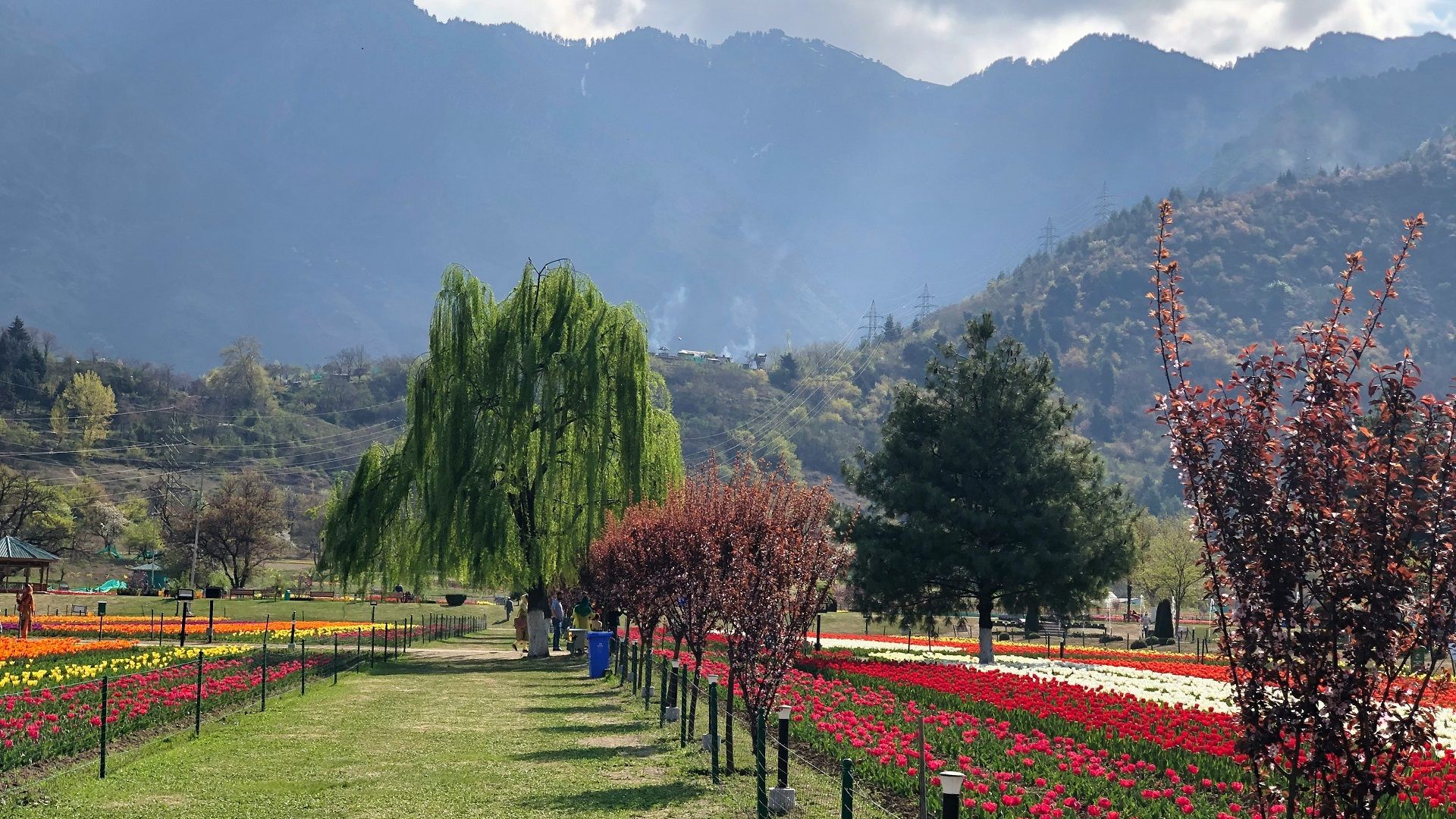Srinagar, Jammu and Kashmir 