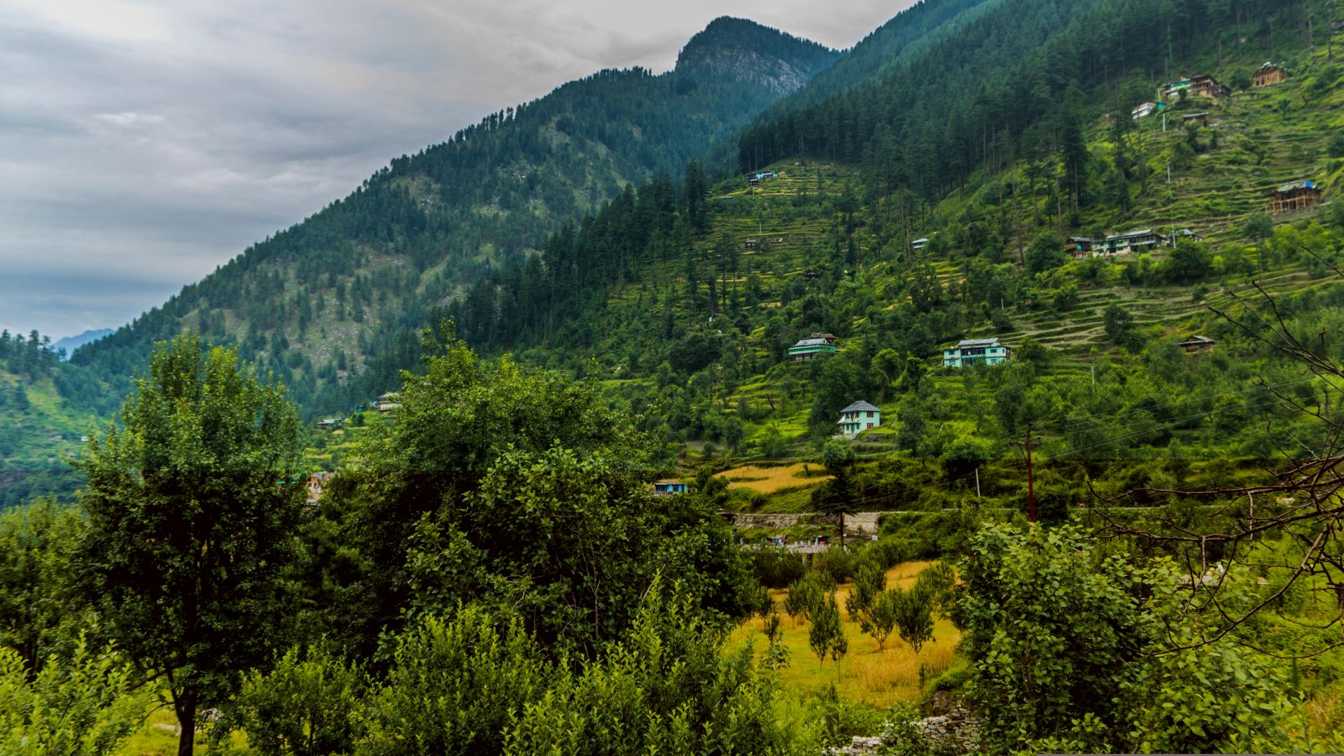 Paragliding Over Bir-billing To See Jibhi's Beauty, Himachal's Hidden Gem