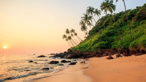 Best Time To Visit Goa For The Best Weather, Parties, Beaches 