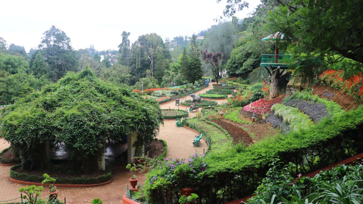 Ooty Flower Show 2024: All You Need To Know About The Floral Festival