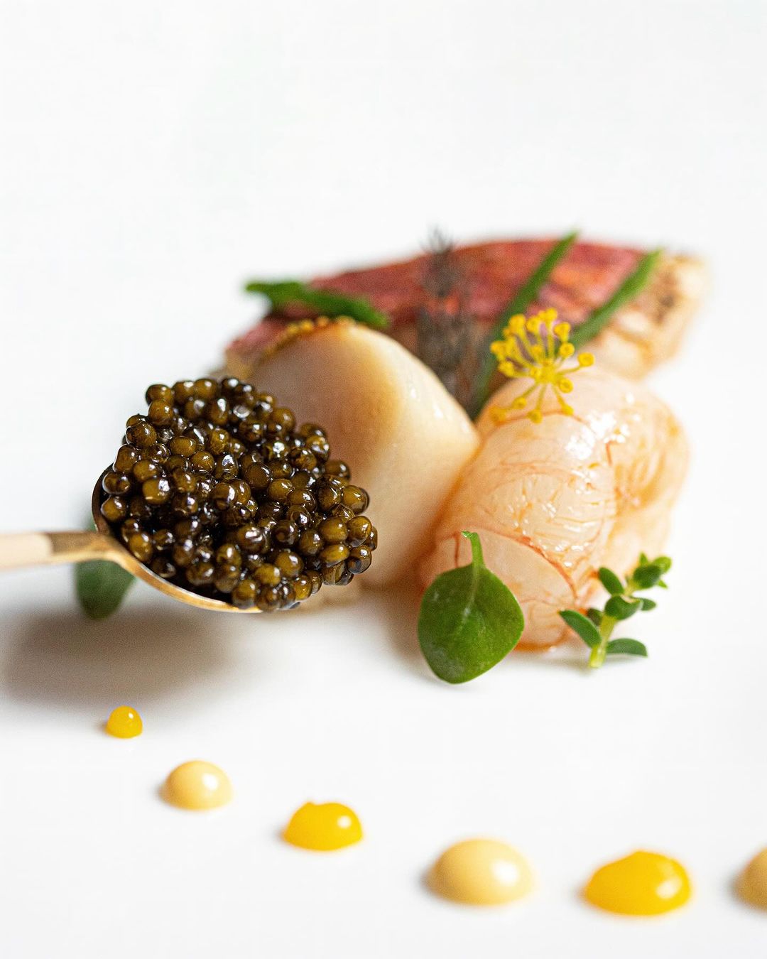 10 Must-Visit Gordon Ramsay Restaurants Around The World