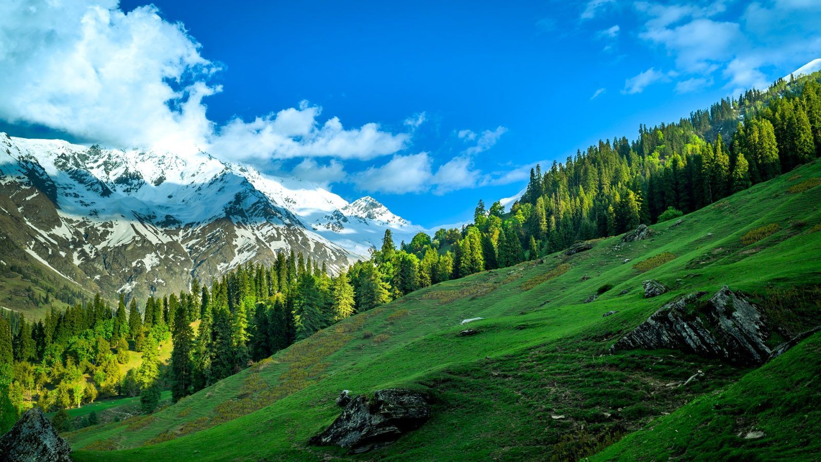 7 Best Places To Visit In June 2024 In India To Beat The Summer Heatwaves