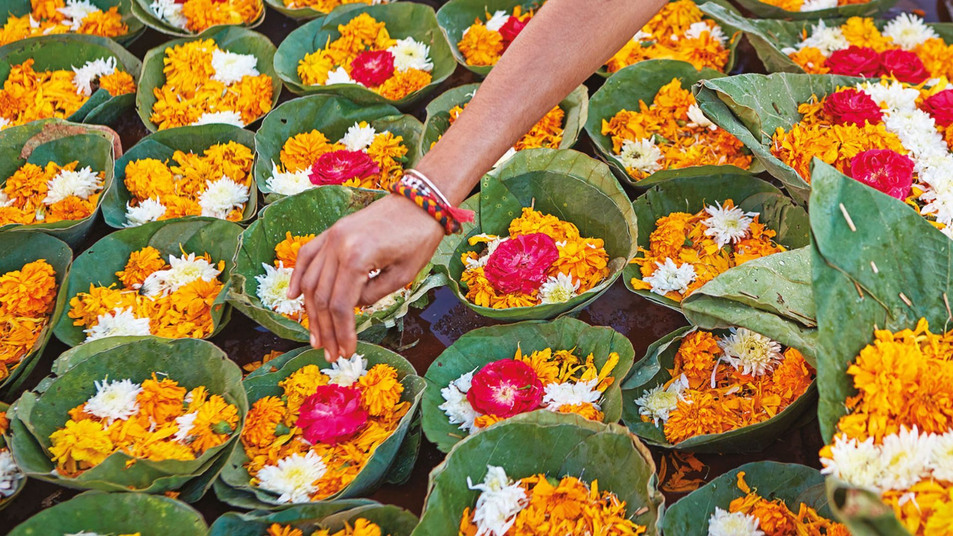 Finding Purpose In Floral Waste With Ankit Agarwal Of Phool