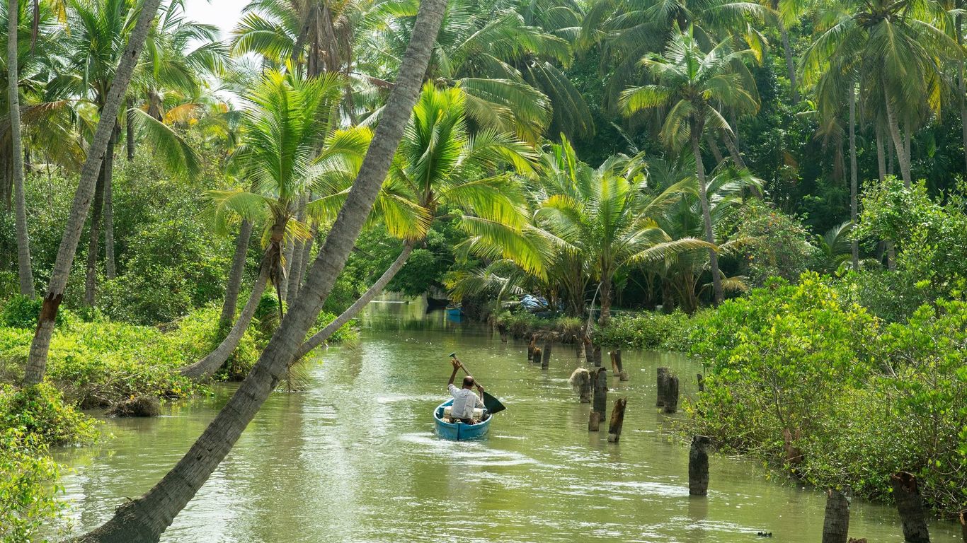 Backwaters, Beaches & Food: Things To Do In Kozhikode - City Of ...