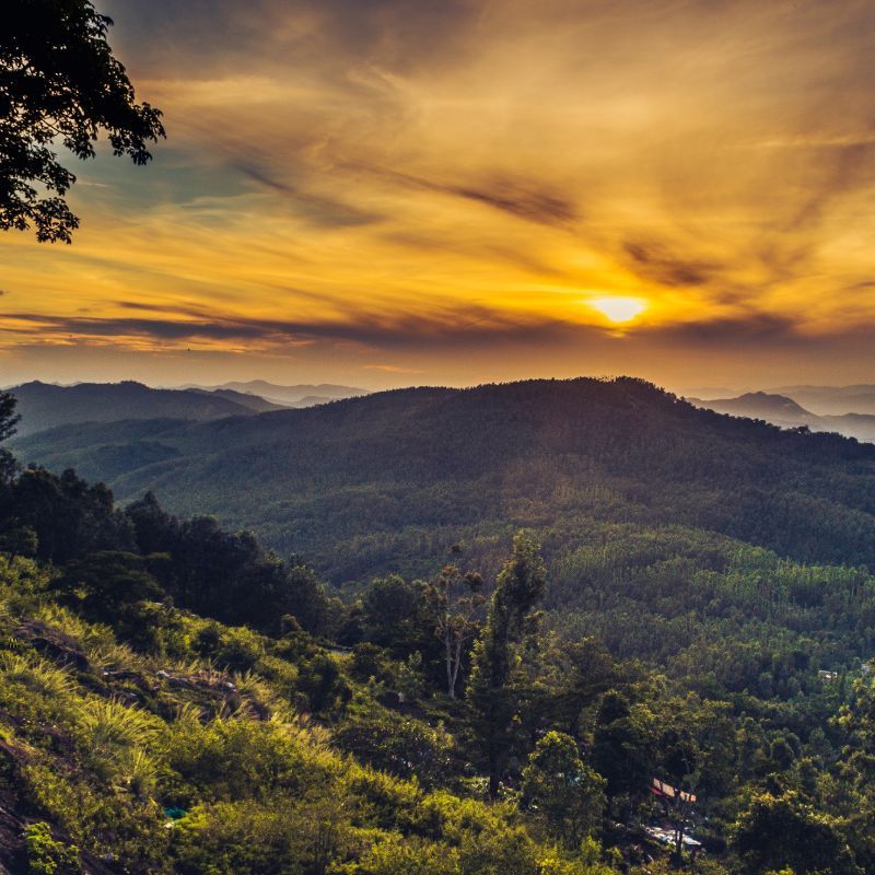 Nature, Hills, And More – Your Guide To Yercaud, A Serene Escape In Tamil Nadu