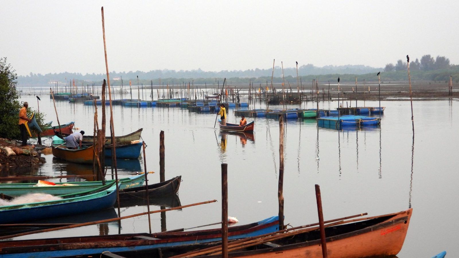 A boat ride on the Panchagangavali River in Karnataka