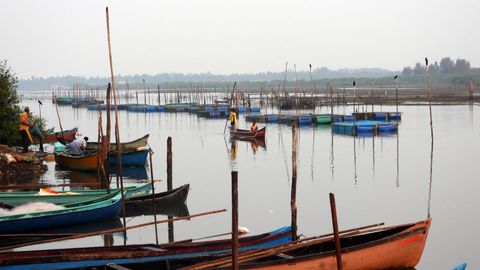 Nature's best kept secret: A boat ride on the Panchagangavali River, Karnataka