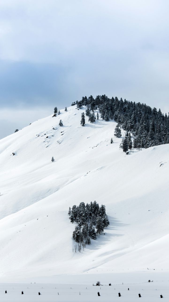 Gulmarg Gondola lift