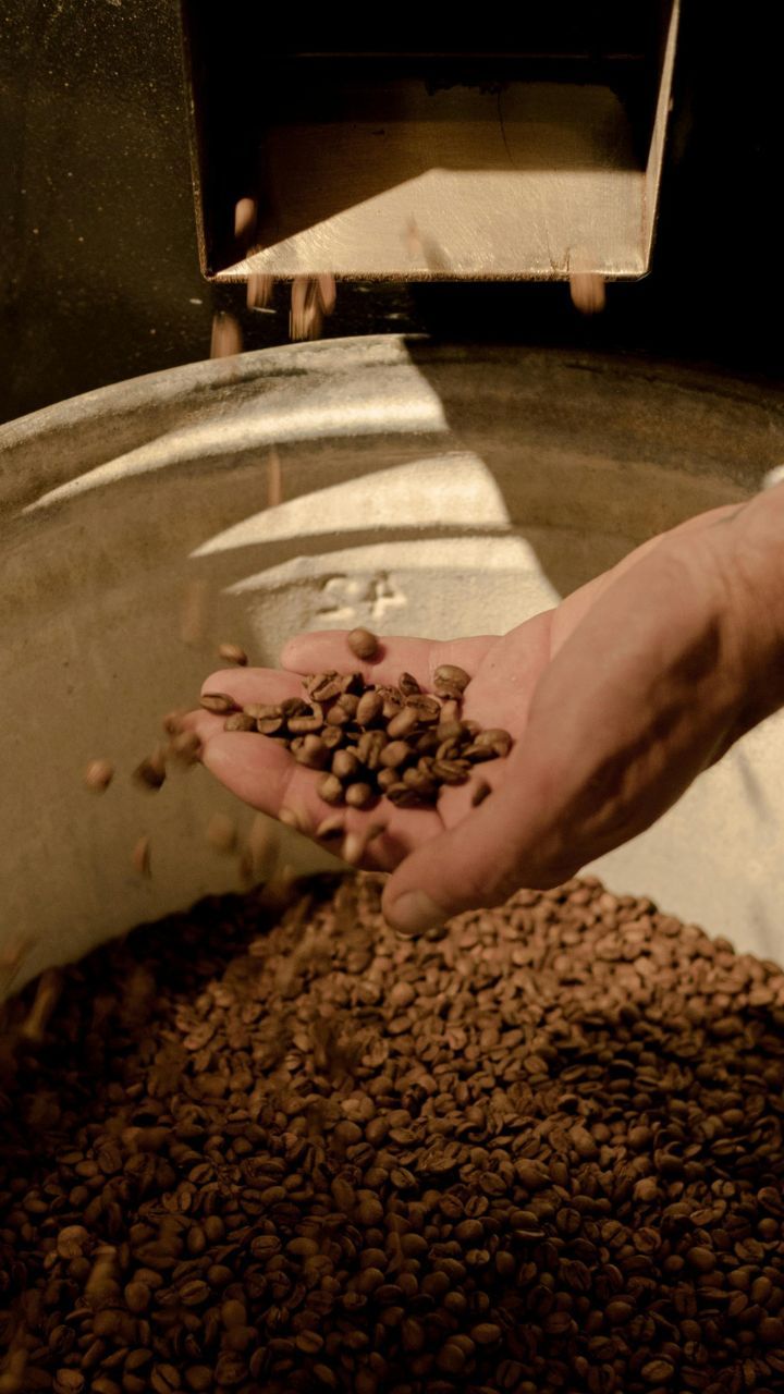 These Countries Are The Leading Producers Of Coffee In The World