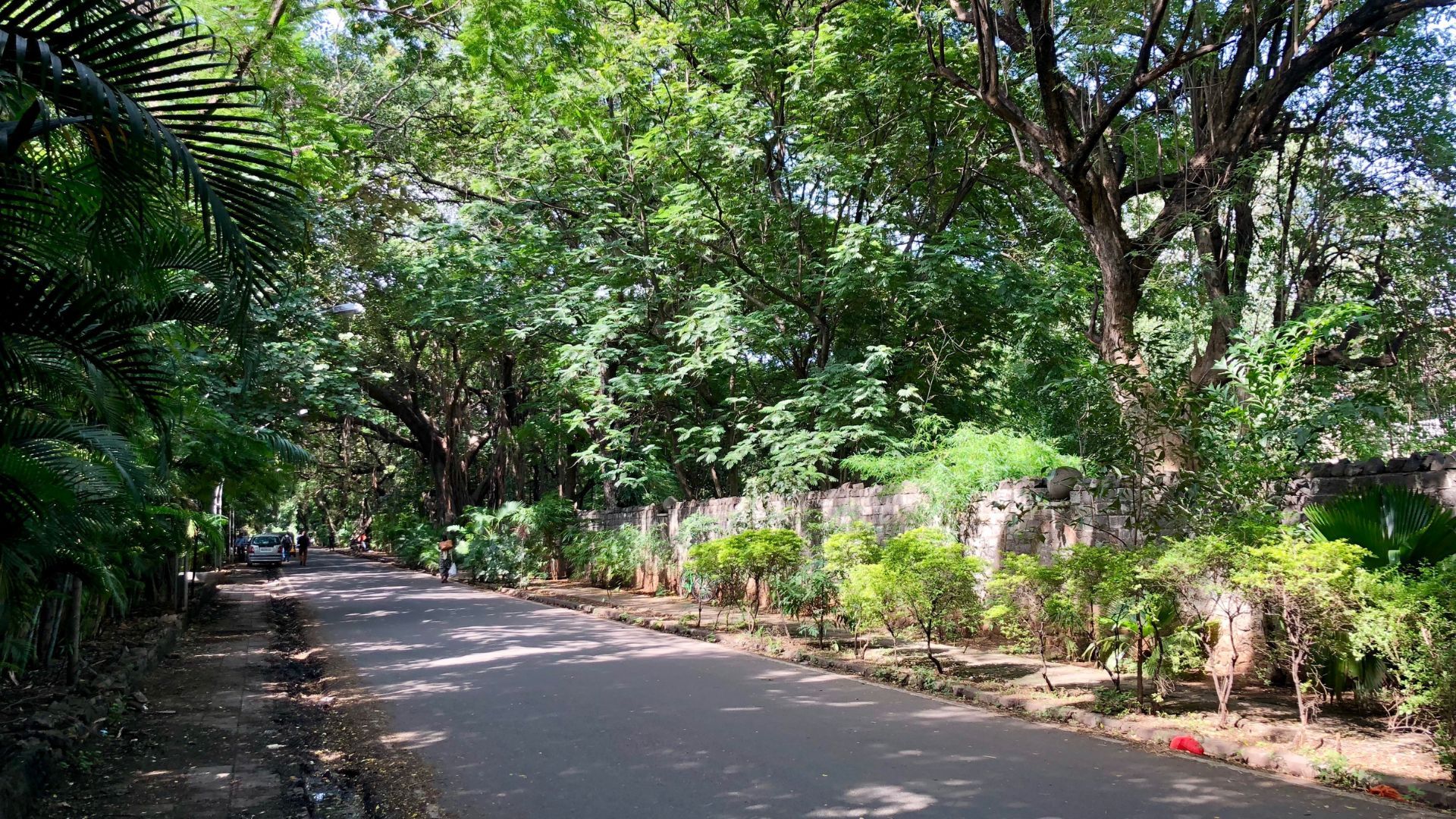 Koregaon Park: Shop, Dine & Chill With Chic Charms Of Pune's Elite ...