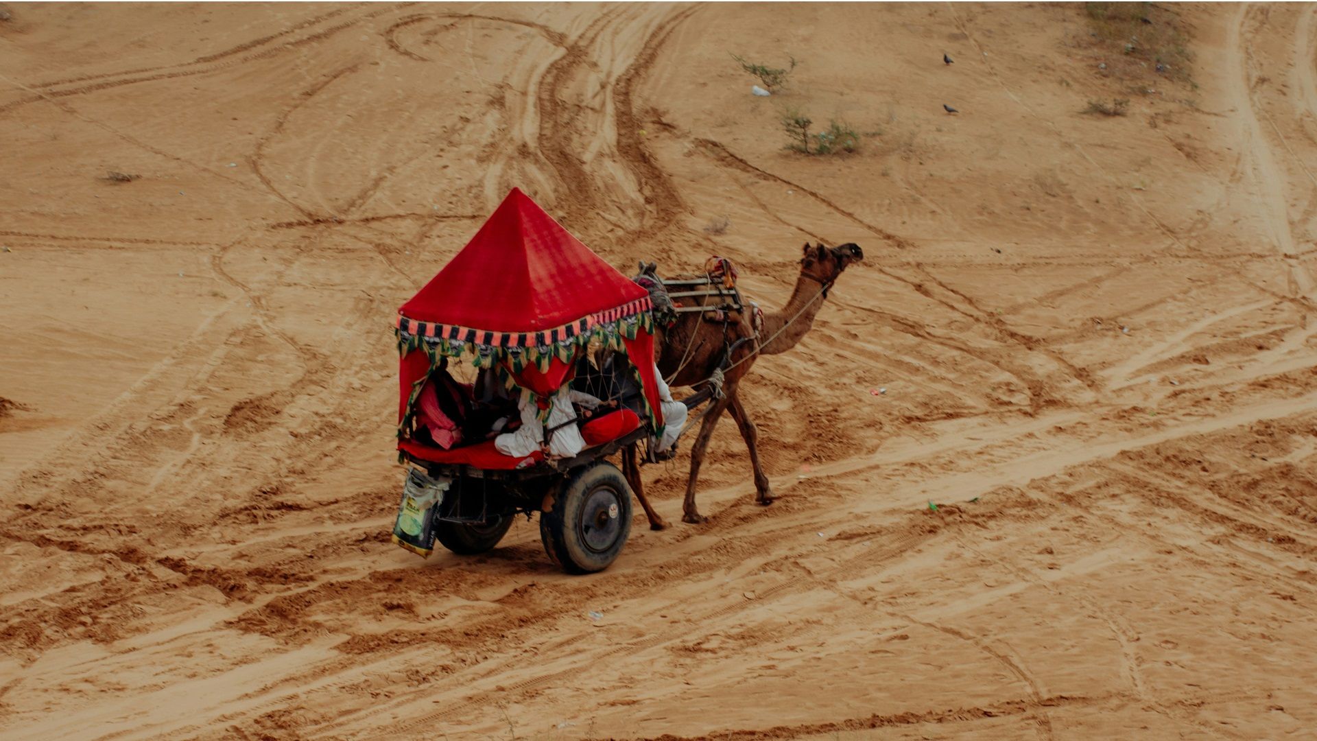 Pushkar Camel Fair 