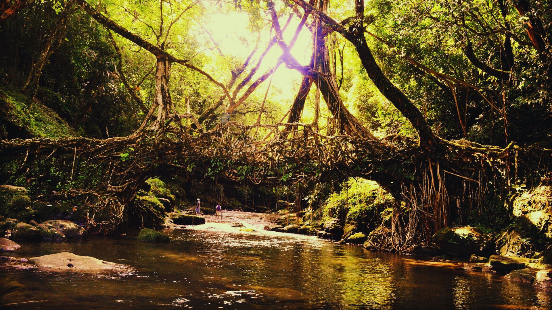 Cherrapunji