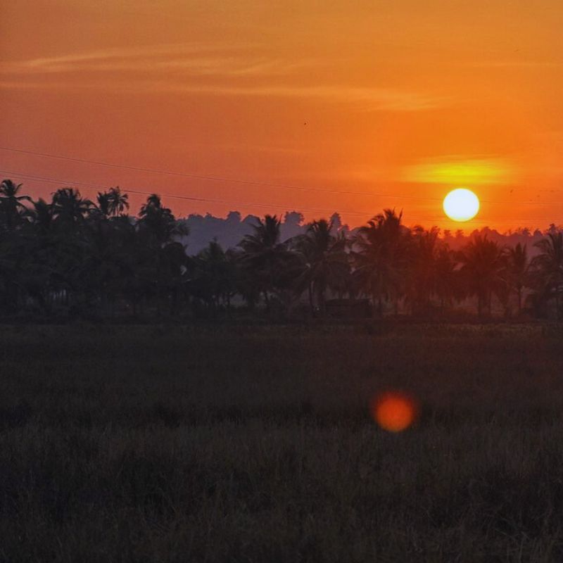 Best Train Journeys In India: Experience Slow Travel And Stunning Views