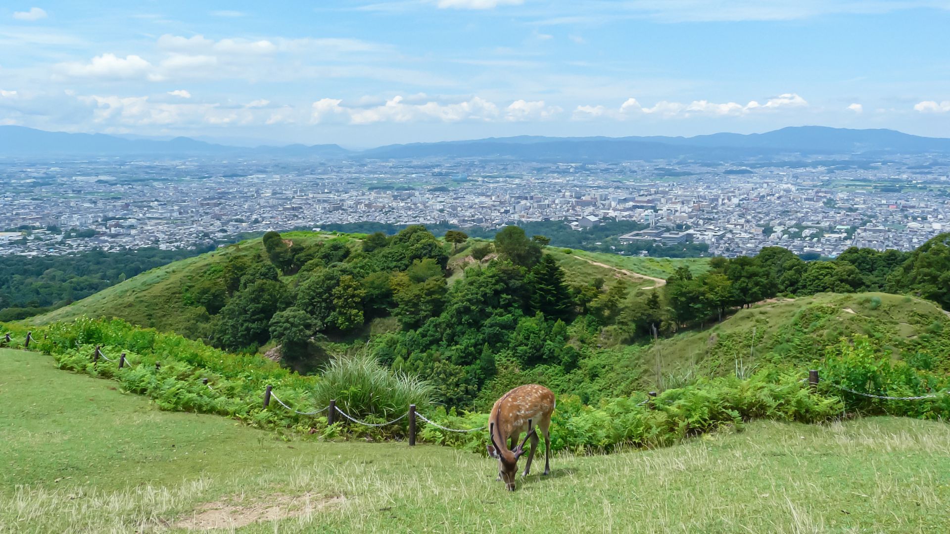 places to visit in Nara