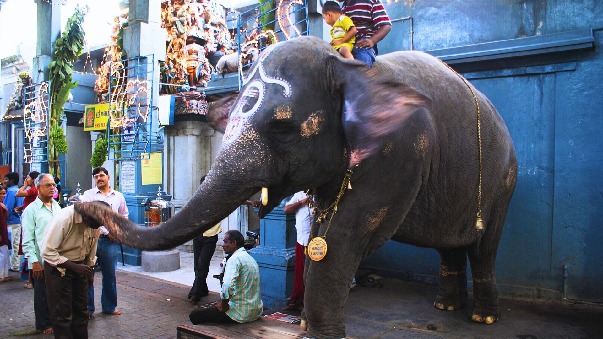 Things To Do In White Town, The Beautiful French Colony Of Pondicherry