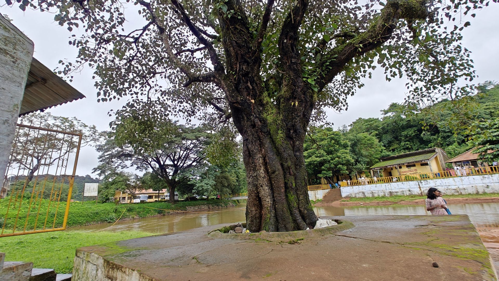 Sangama