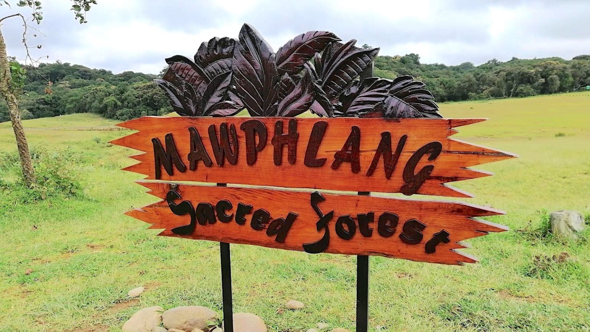 Mawphlang Sacred Grove