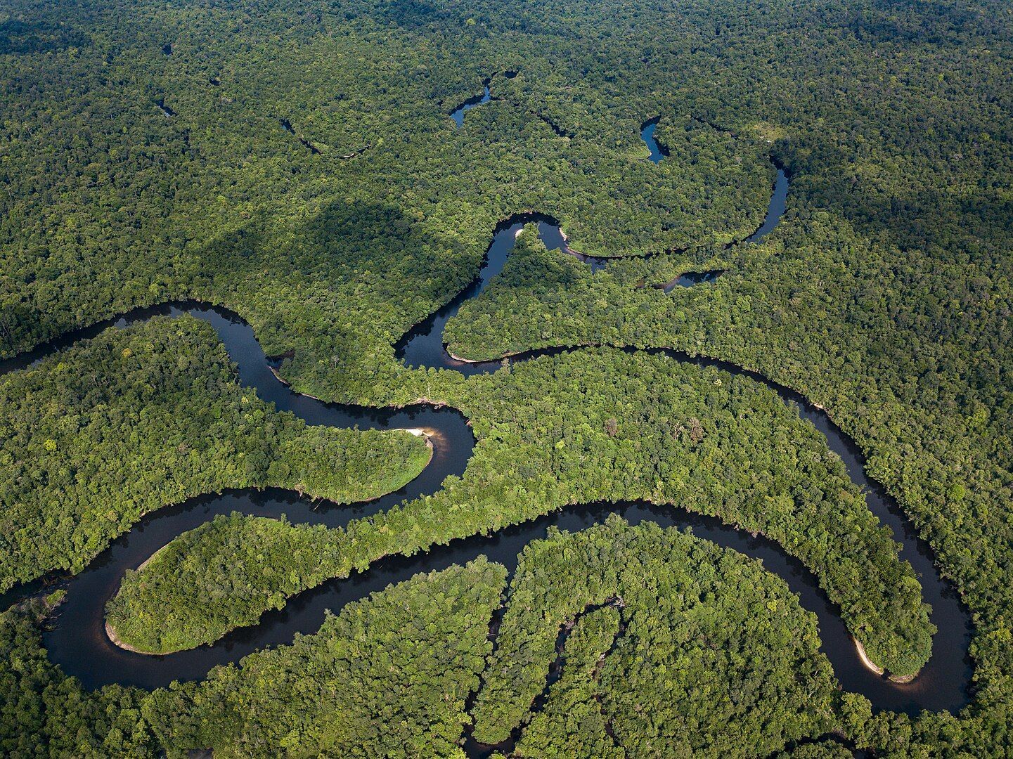 cardamom mountains