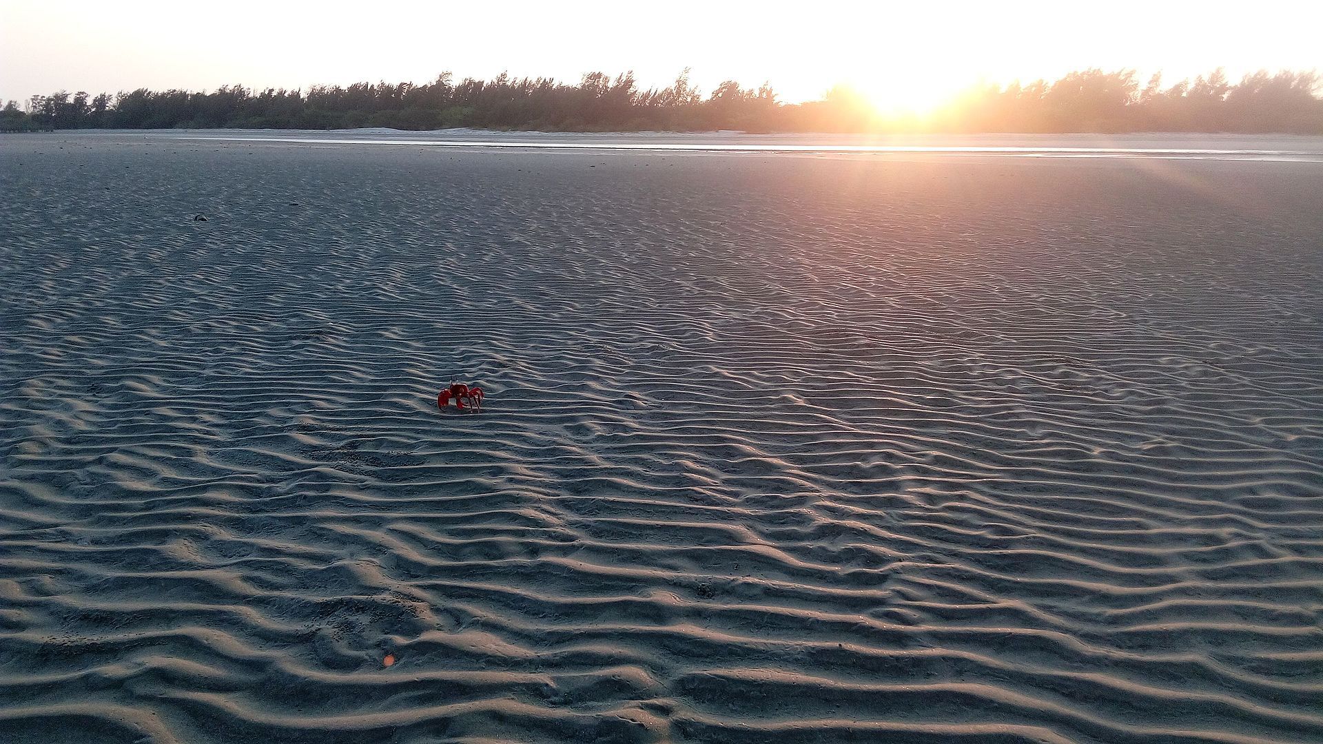 Henry Island Beach