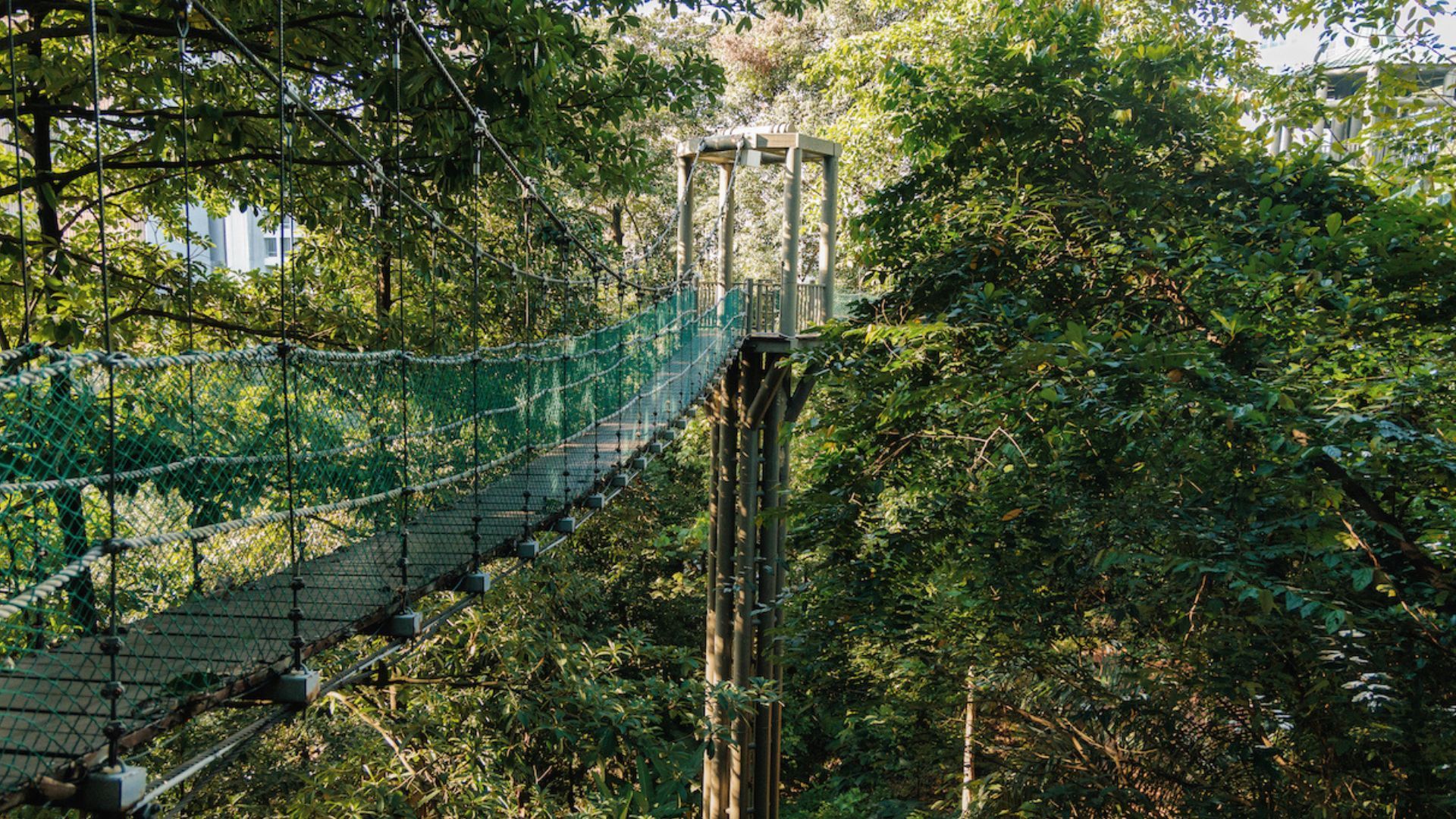 Best time to visit Kuala Lumpur