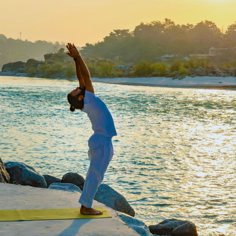 shillong-cherry-blossom-festival-artists-tickets-and-everything-to-know