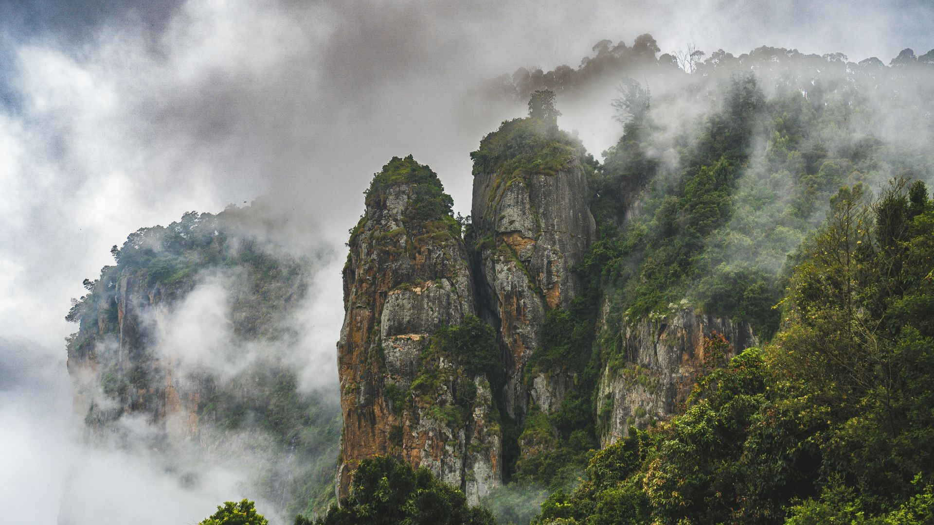 Tourist Places In Kodaikanal Lakes To Lush Trails And More
