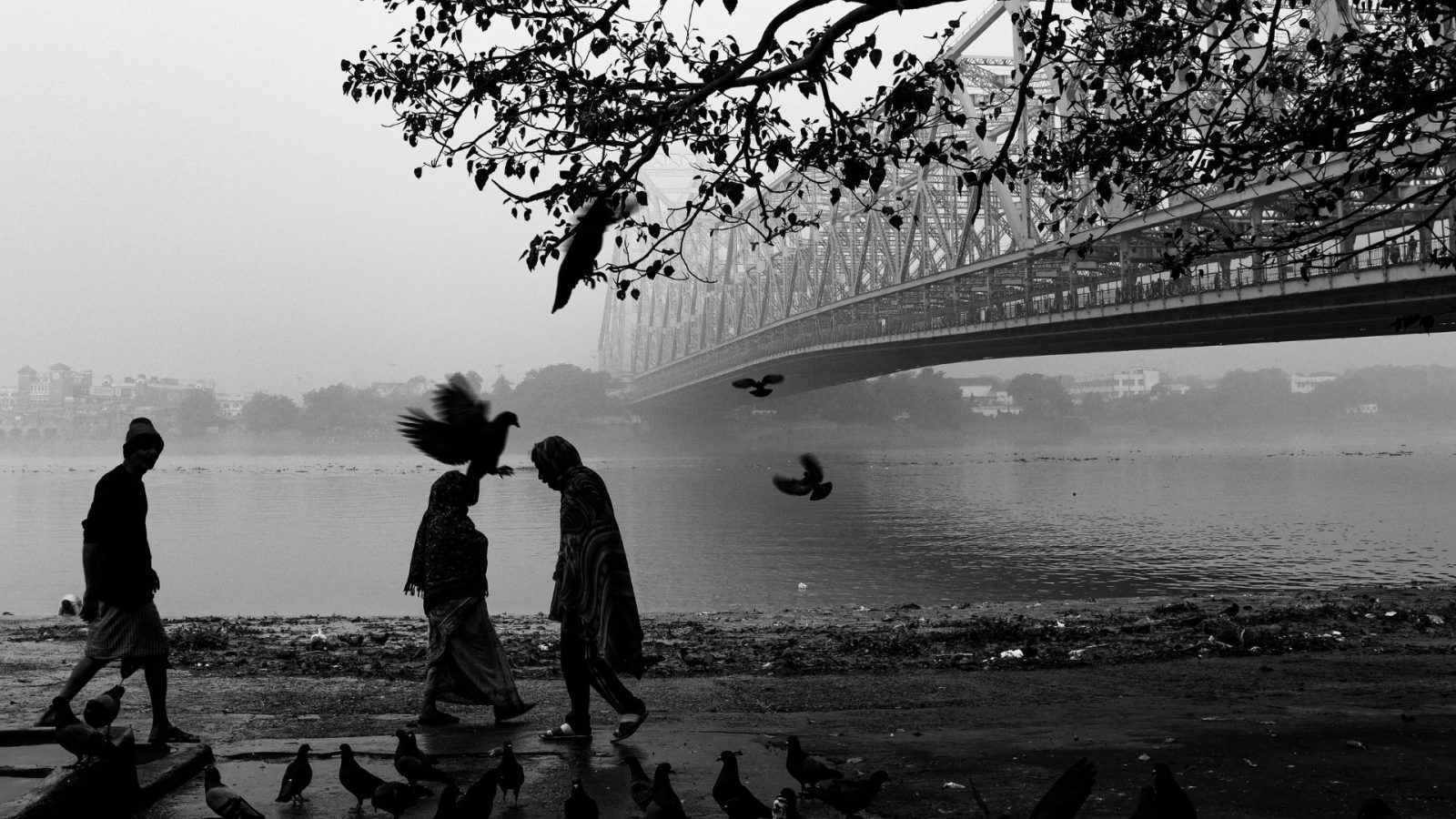 Waiting on Home: A Grandson's Tribute to Kolkata, Memory and Loss