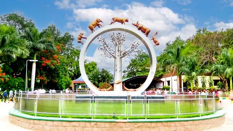 India's Largest Aquarium To Make Waves At Hyderabad's Nehru Zoological Park