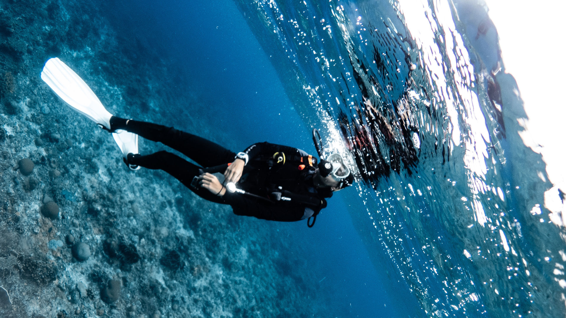 Suzon Rana Dive A Week On A Sulu Sea Liveaboard Rewired My Bond with Nature and Self