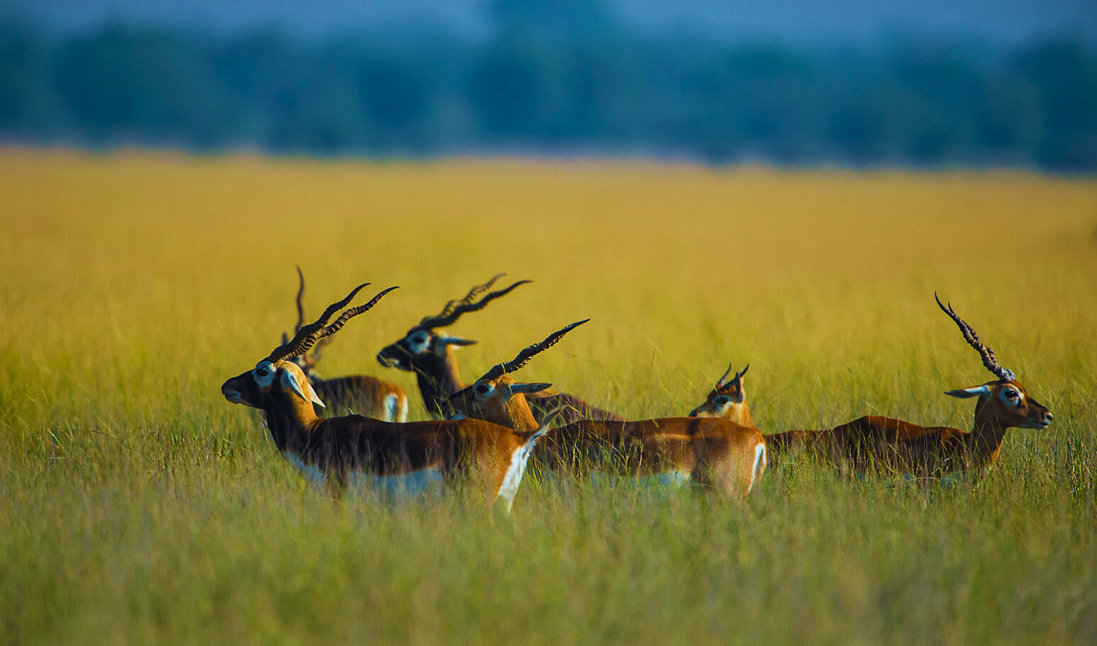 Hidden Gems In Rajasthan For Offbeat Winter Travel