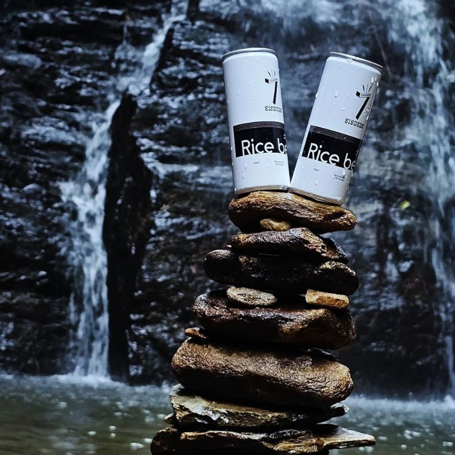 9 Rice Beers In India That Are A Grain Above The Rest