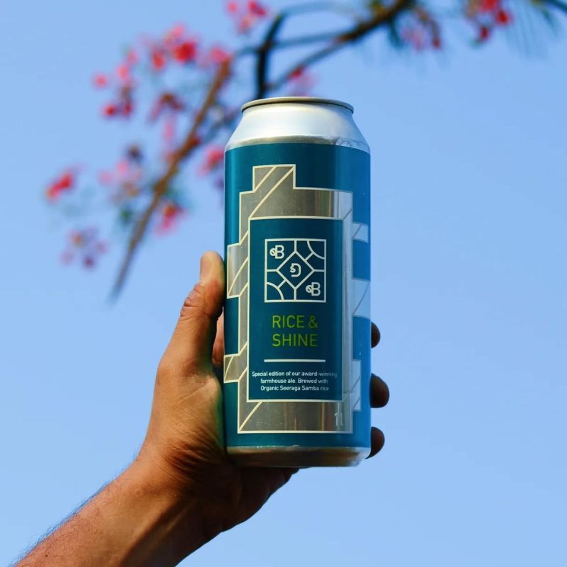9 Rice Beers In India That Are A Grain Above The Rest