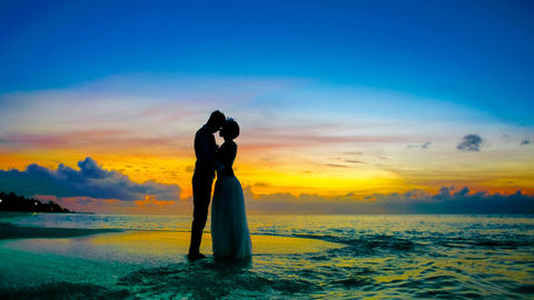 The Wildly Romantic Guide To Planning Picture-Perfect Proposals