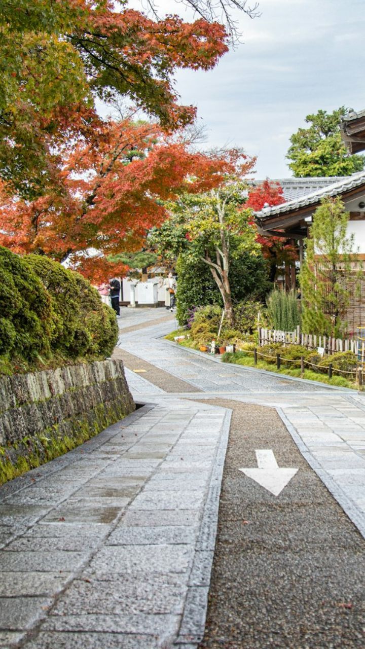 10 Global Cities With The Best Air Quality Right Now Air Quality