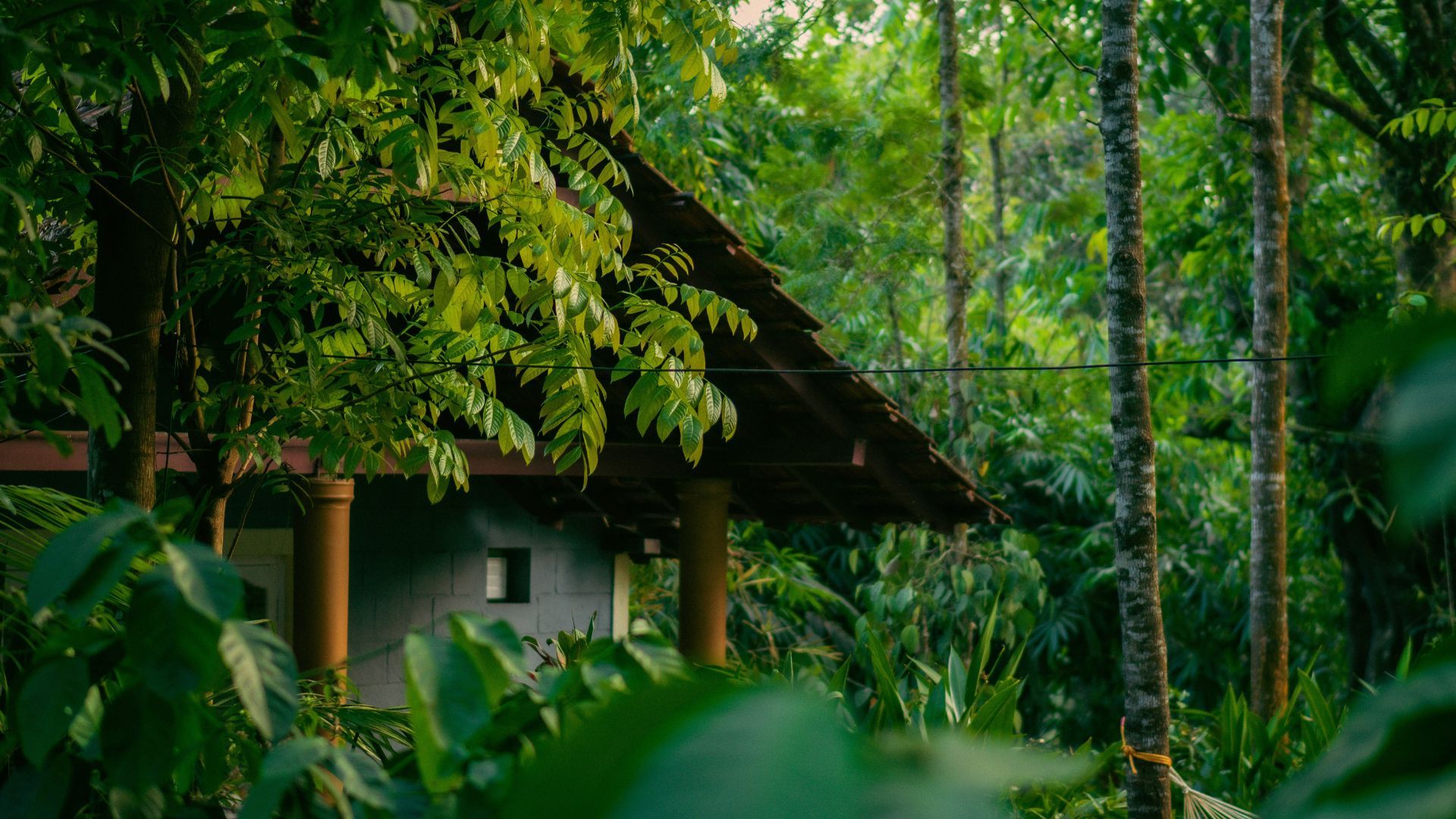 Coorg, Karnataka | Galentine's Day | Girl's Trip Ideas